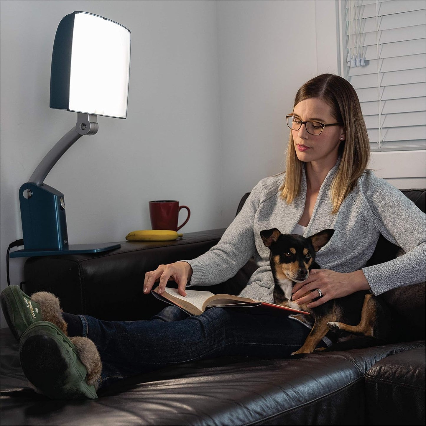 Carex Day-Light Sky Light Therapy Lamp