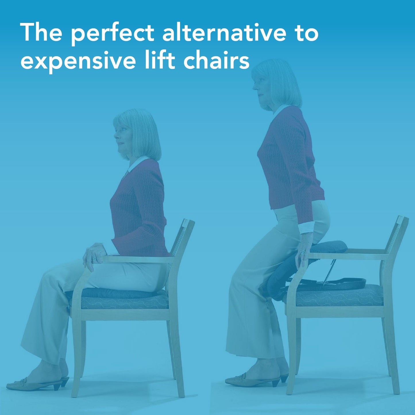 Carex Upeasy Seat Assist Plus