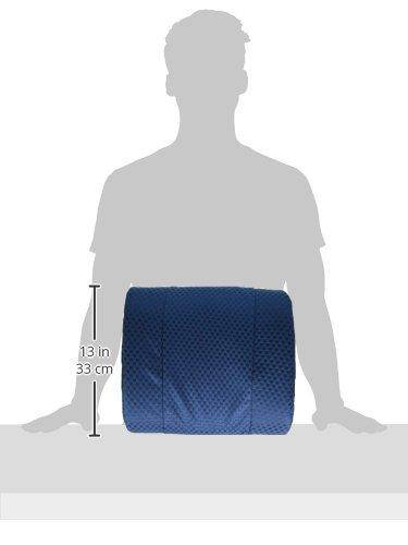 Carex Lumbar Support Cushion